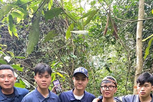 Tìm thấy nam sinh bị mất liên lạc khi leo núi Tam Đảo