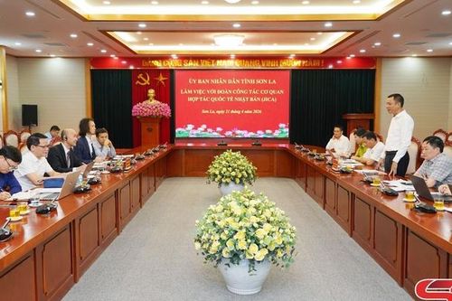 Tạo đà phát triển lâm nghiệp bền vững