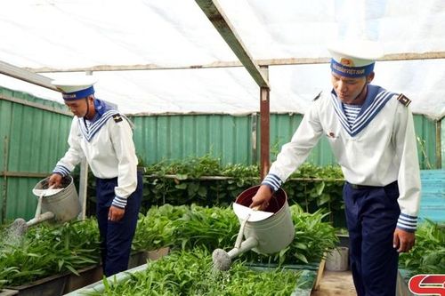 Xanh hóa Trường Sa – Hành trình kiến tạo môi trường sống nơi đầu sóng