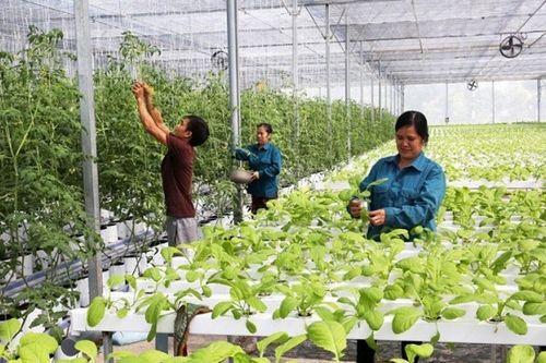 Từ cam kết Net Zero đến bài toán dòng vốn: Làm sao để chuyển đổi xanh không chỉ dừng ở mục tiêu?