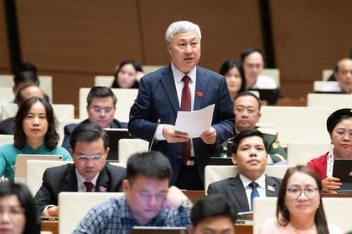 Đại biểu: Tăng thu ngân sách ở lĩnh vực nào để phát triển bền vững?