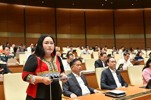 ĐBQH Chamaleá Thị Thủy (Khánh Hòa): Mở rộng 'địa chỉ tin cậy' tại cộng đồng hỗ trợ nạn nhân bị bạo lực giới