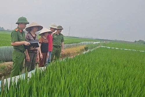 Báo động tình trạng dùng điện bẫy chuột khiến người mất mạng