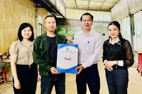 Liên minh Hợp tác xã tỉnh thăm, nắm tình hình các hợp tác xã
