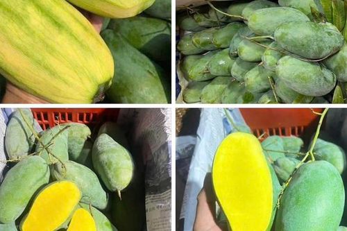 Loại quả Việt đang vào mùa, bán đầy chợ giá chỉ hơn chục nghìn đồng/kg ai đi mua trái cây cũng rinh về