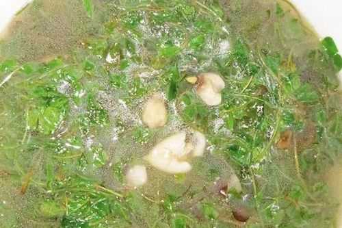 Loài rau mọc dại có tên rất lạ, giàu dinh dưỡng, phù hợp trong bữa cơm mùa hè