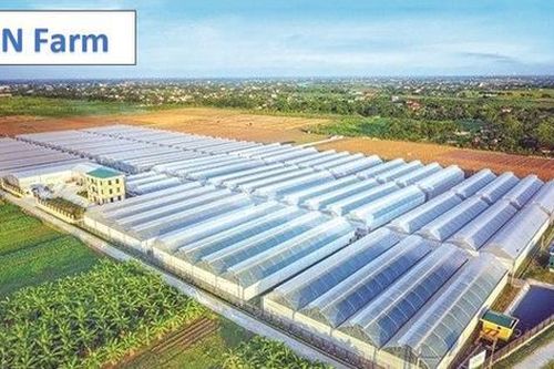 Cổ phiếu PAN đang ở mức giá hấp dẫn