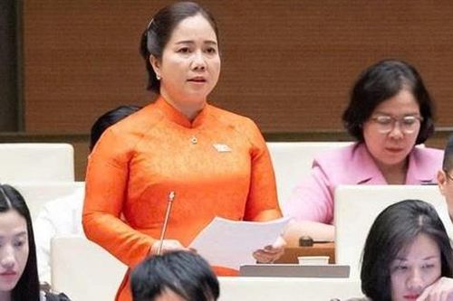 ĐBQH: Một lượng tài sản lớn trong dân vẫn nằm ngoài hệ thống tài chính