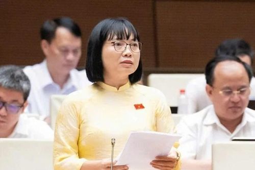 Luật sư công vừa là công chức, viên chức, vừa hành nghề luật sư, vậy xử lý xung đột thế nào?