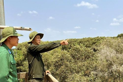 Đồng Tháp: Tràm Chim, Gò Tháp giữ rừng mùa khô siết chặt phòng cháy