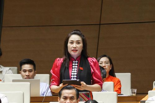 Đại biểu Quốc hội: Chính sách văn hóa chỉ thực sự thành công khi chạm được vào đời sống của nghệ sĩ