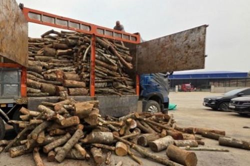 Phát hiện việc vận chuyển trái phép nhiều chuyến hàng hóa