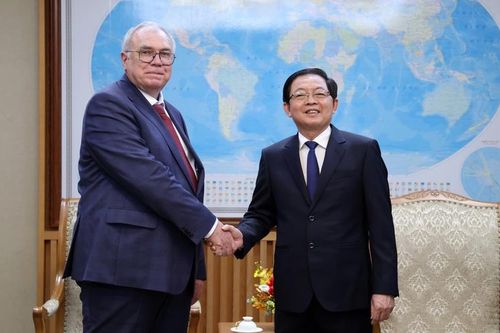 Phó Thủ tướng Hồ Quốc Dũng tiếp lãnh đạo Cơ quan Năng lượng nguyên tử Quốc tế (IAEA)