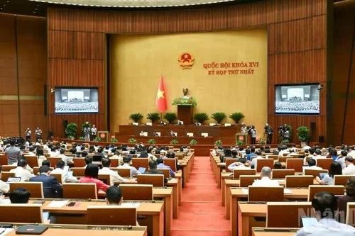 Ý kiến cử tri