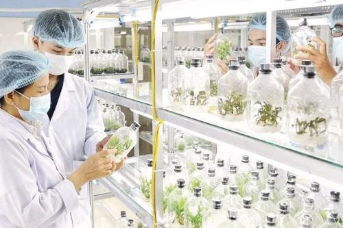 Định hình tương lai nhân lực công nghệ sinh học