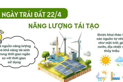 [Video] Nhân ngày Trái đất 22/4: Năng lượng tái tạo – Chìa khóa cho tương lai xanh của Trái đất