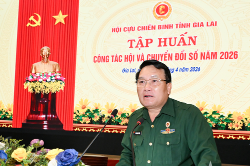 Hội Cựu chiến binh tỉnh Gia Lai: Tập huấn công tác Hội và chuyển đổi số