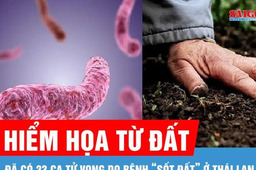 Bộ Y tế khuyến cáo khẩn sau 23 ca tử vong do bệnh 'sốt đất' ở Thái Lan