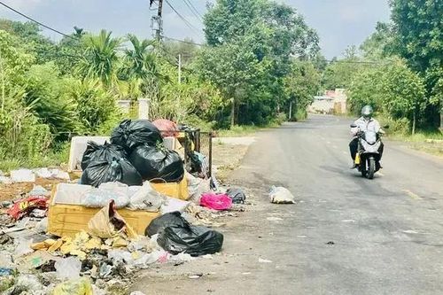 Phản hồi bài viết 'Bãi rác nhếch nhác ven đường'