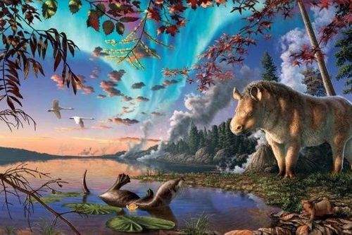 Chuyên gia phát hiện loài tê giác mới tại Bắc Cực