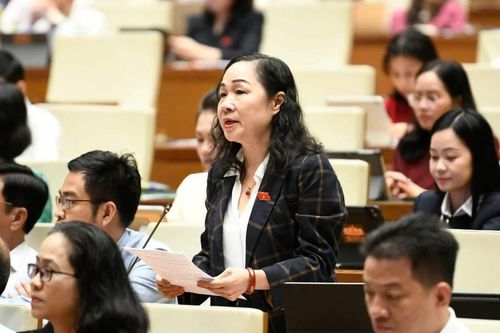 Đại biểu Quốc hội khẩn thiết đề nghị xem lại việc sáp nhập các đơn vị nghệ thuật truyền thống