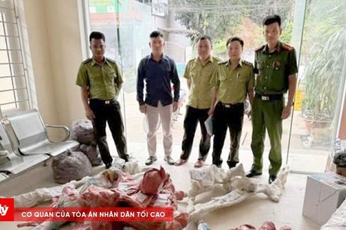 Phát hiện, thu giữ 15 phôi cây Muội hồng không rõ nguồn gốc