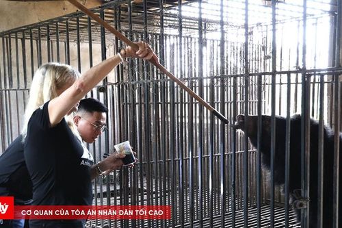 Giải cứu 2 cá thể gấu ngựa sau hơn 20 năm nuôi nhốt