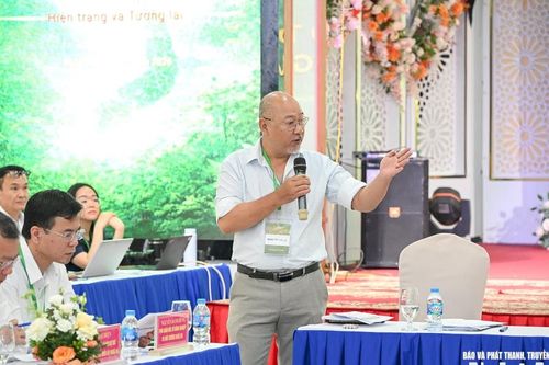 Tăng cường quản lý, bảo vệ nghiêm ngặt các loài thực vật nguy cấp, quý hiếm