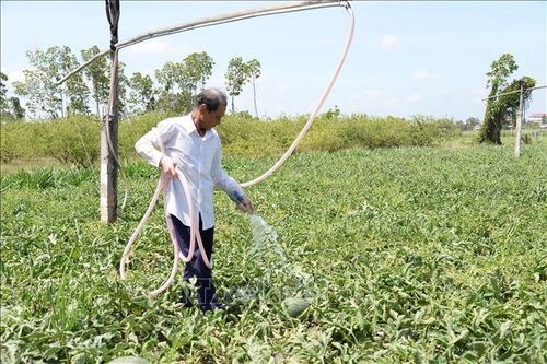 Giảm độ mặn trên nhiều sông ngòi tại Đồng Tháp