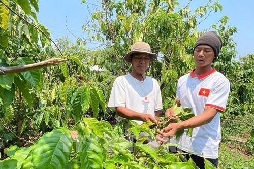 'Đánh thức' tiềm năng đất đai