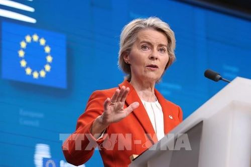 EU công bố chiến lược thúc đẩy tự chủ năng lượng