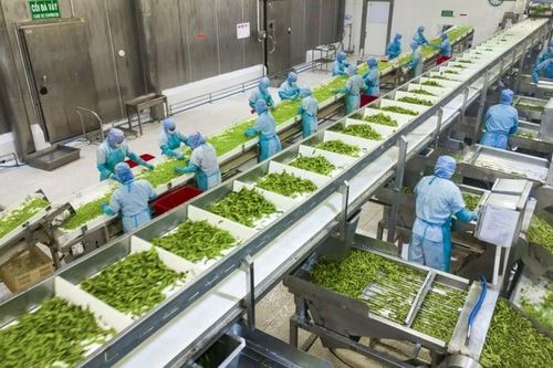 Antesco muốn vay vốn ngoại, hướng mục tiêu 'top 3 Đông Nam Á'