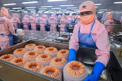 10 năm tới không thiếu cơ hội, doanh nghiệp Việt đang thiếu gì để nắm bắt?