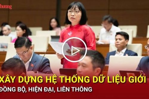 Xây dựng hệ thống dữ liệu giới đồng bộ, hiện đại, liên thông