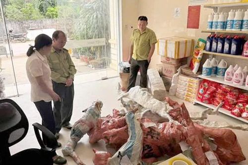 Phát hiện, tạm giữ 15 phôi cây Muội hồng không rõ nguồn gốc được ký gửi tại Bưu điện