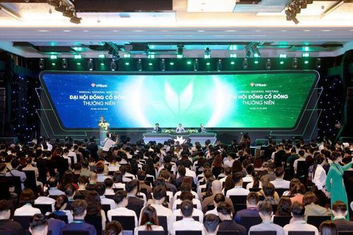 ĐHĐCĐ VPBank: NIM năm nay dự báo giảm nhẹ, đang tái cấu trúc mô hình để đưa NPL của FE Credit về 11-12%