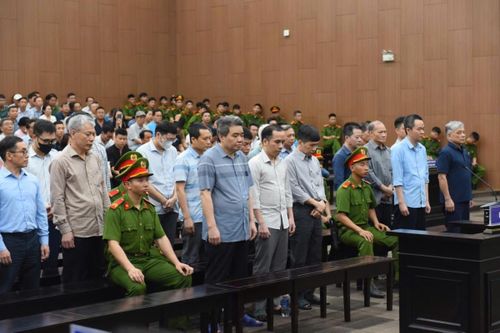 Giám đốc Công ty Hoàng Dân kháng cáo xin giảm nhẹ hình phạt