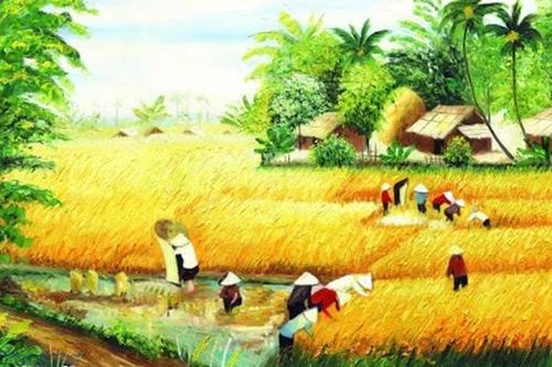 Biết ơn đồng đất quê nhà