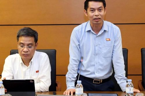 Cần cân nhắc kỹ việc giao thẩm quyền cho Chính phủ quy định chi tiết một số mức doanh thu miễn thuế