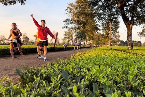 Giữ nguyên hơn 62 ha chè ở xã Biển Hồ để tạo cảnh quan du lịch