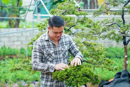 Người tạo thế cho hoàng đàn