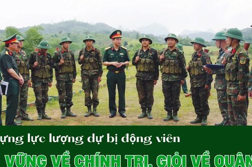 Xây dựng lực lượng dự bị động viên vững về chính trị, giỏi về quân sự