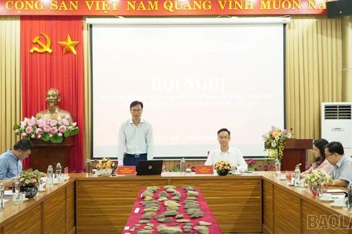 Hội nghị báo cáo kết quả khai quật di chỉ khảo cổ học Ngòi Nhù