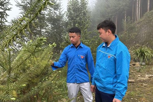 Thanh niên vùng cao dám nghĩ, dám làm