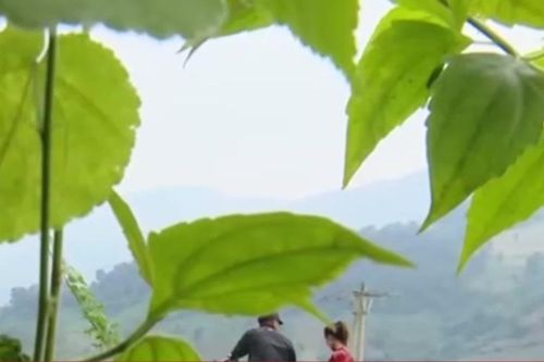 Bẫy 'hôn nhân đổi đời' trên mạng: Nhiều nạn nhân bị bán ra nước ngoài