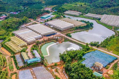 Thị trường công nghệ Lâm Đồng: Thực trạng và khát vọng bứt phá