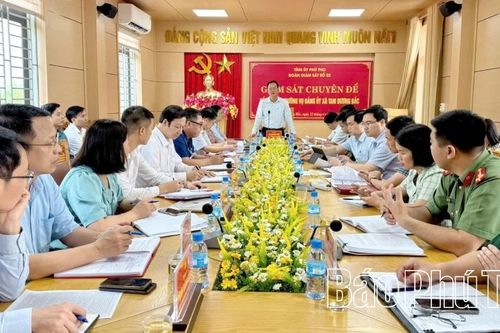 Giám sát chuyên đề đối với Ban thường vụ Đảng ủy xã Tam Dương Bắc