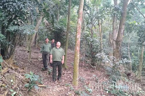 Canh giữ 'lá phổi xanh' Đền Hùng trong ngày hội lớn