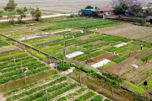 Khơi dậy động lực phát triển kinh tế tập thể