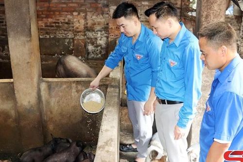 Đồng vốn chính sách tiếp sức cho thanh niên phát triển kinh tế